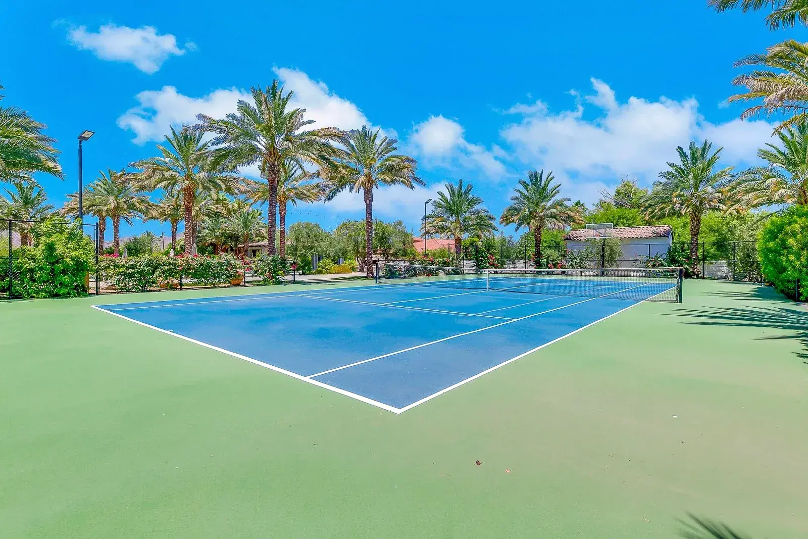 Tennis and pickleball court by day